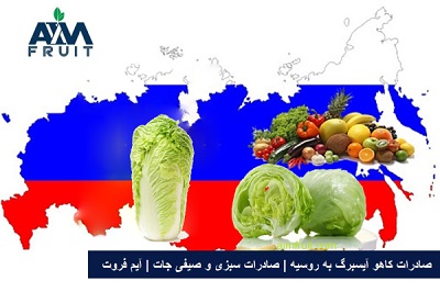 صادرات کاهو آیسبرگ به کشور روسیه