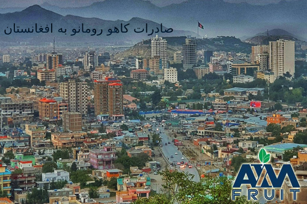 صادرات کاهو رومانو به افغانستان
