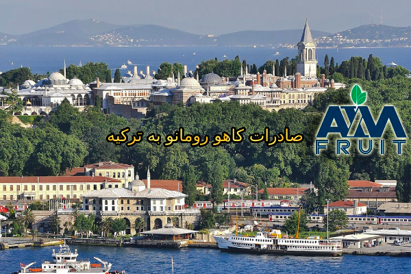 صادرات کاهو رومانو به ترکیه