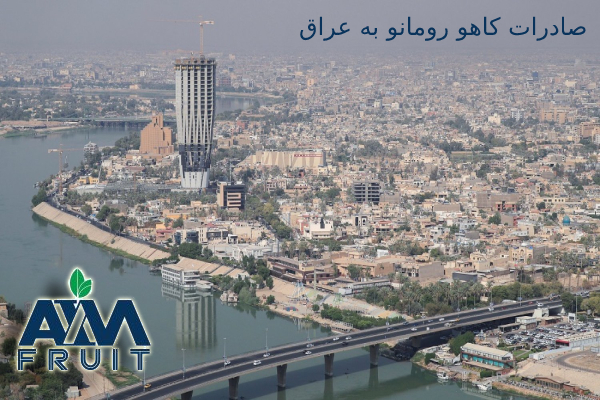 صادرات کاهو رومانو به عراق
