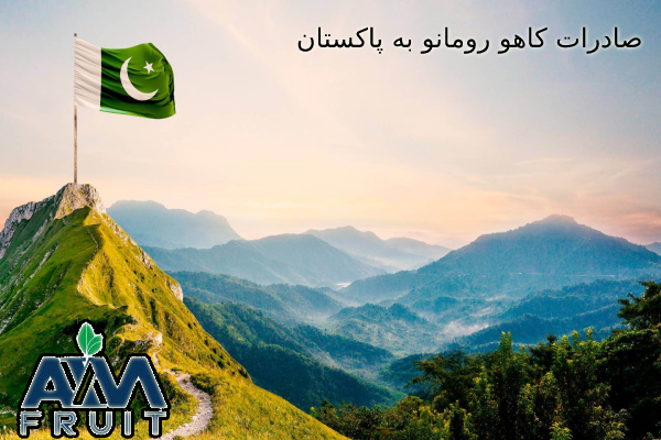 صادرات کاهو رومانو به پاکستان