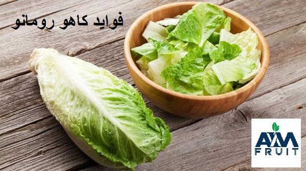 فواید کاهو رومانو
